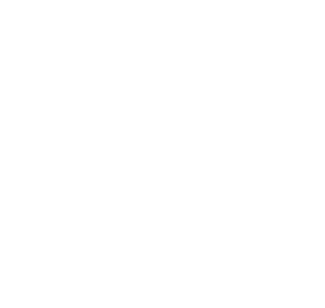 Wireframe torus