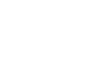 Wireframe wurmloch
